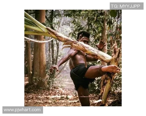 托尼贾与播求的巅峰对决谁将成为搏击界的新传奇